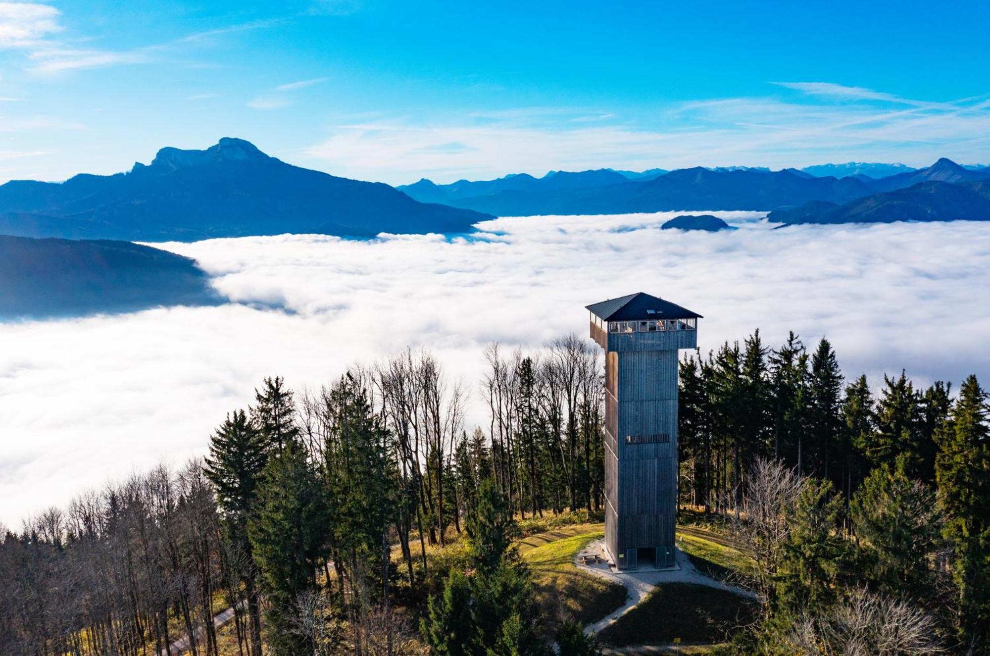 Im Mondseeland Innerschwand Eksteriør billede